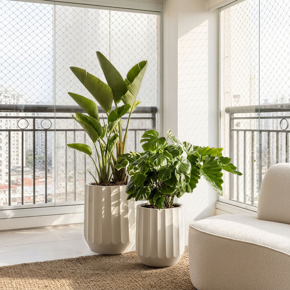 Ripple Planter White