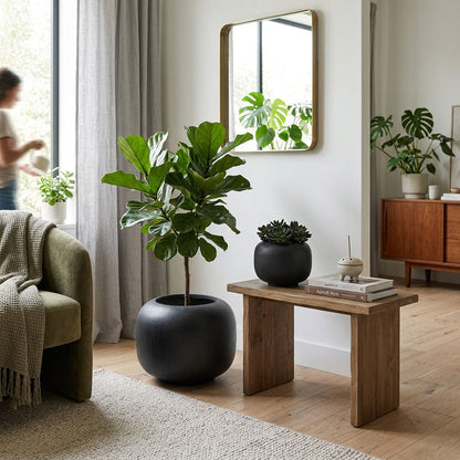Sphere Planter Black