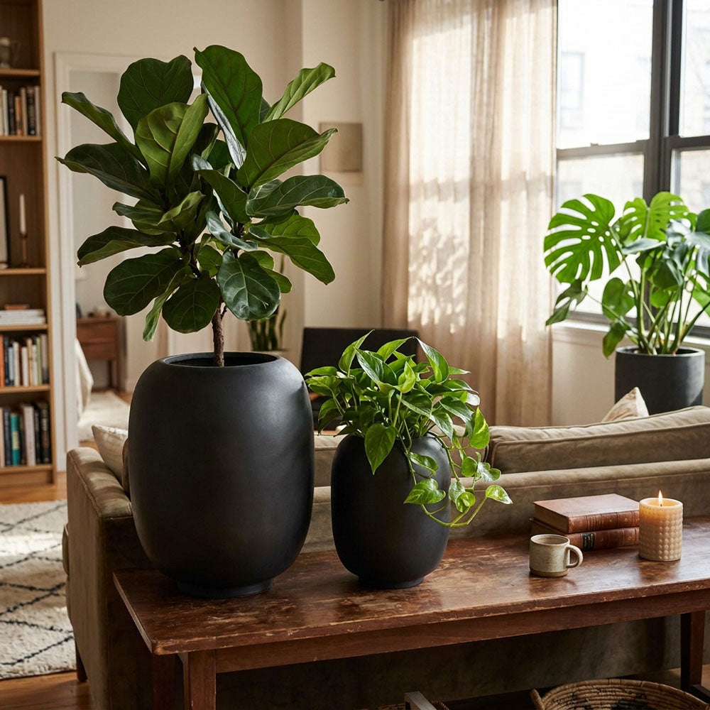 Sphere Tall Planter Black
