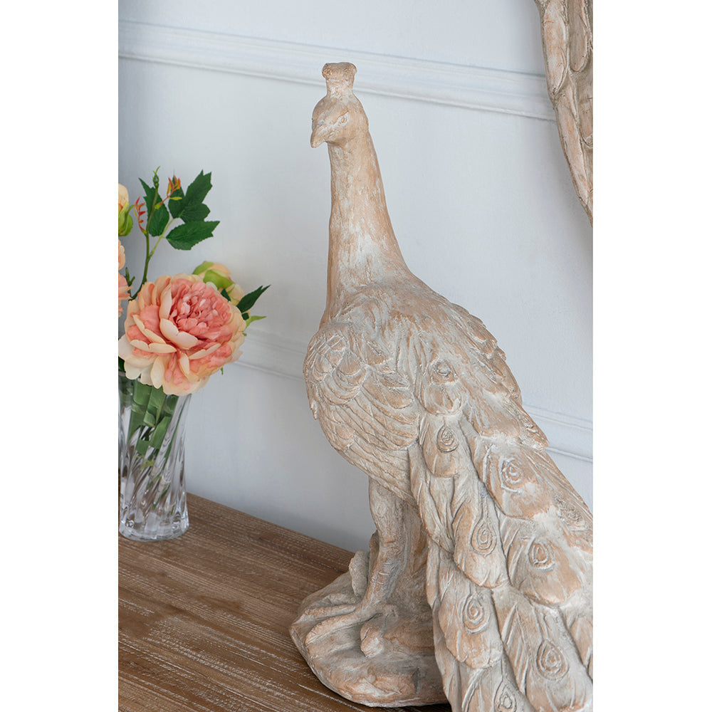 Arbour Peacock Sculpture