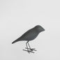 Starling Velvet Stone Bird Black