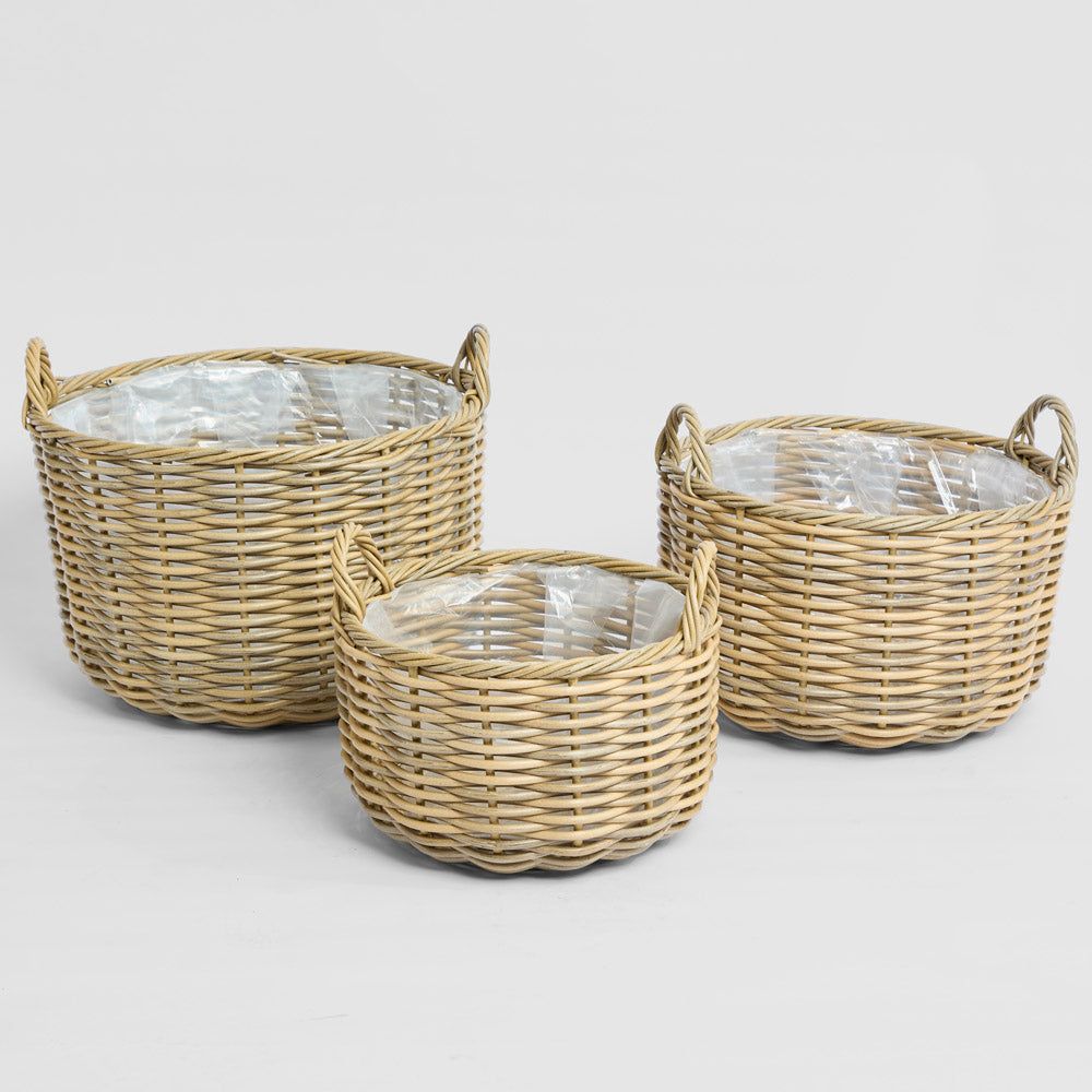 Saguaro Basket PE Rattan