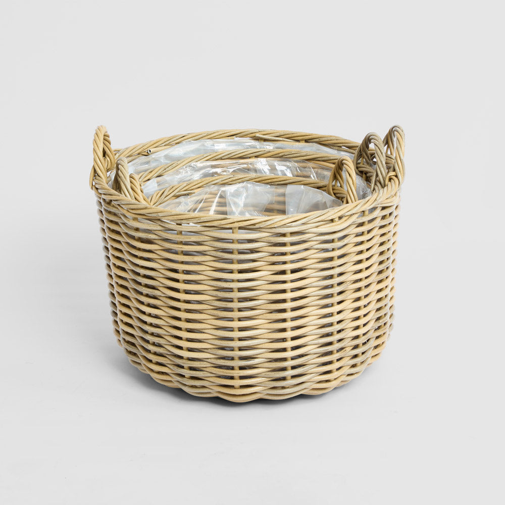 Saguaro Basket PE Rattan