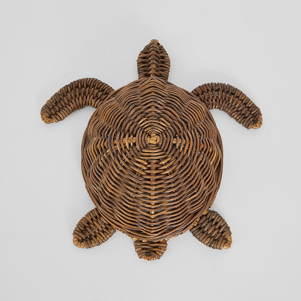 Ollie The 4 x 6 Rattan Turtle Brown