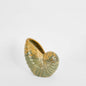 Nautilus Ceramic Planter Small