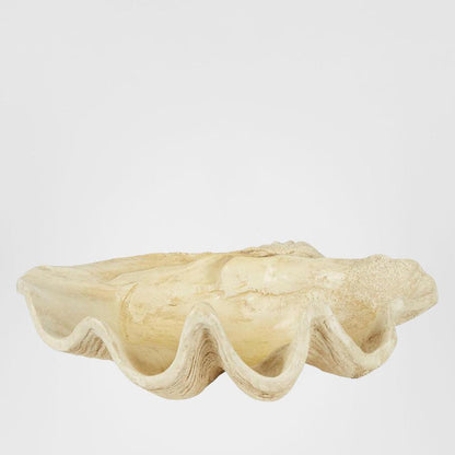Giant Clam Sculpture Natural