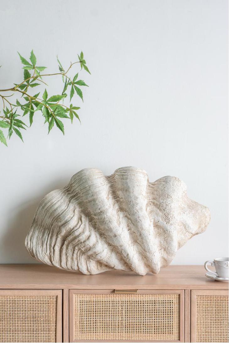 Giant Clam Sculpture Natural