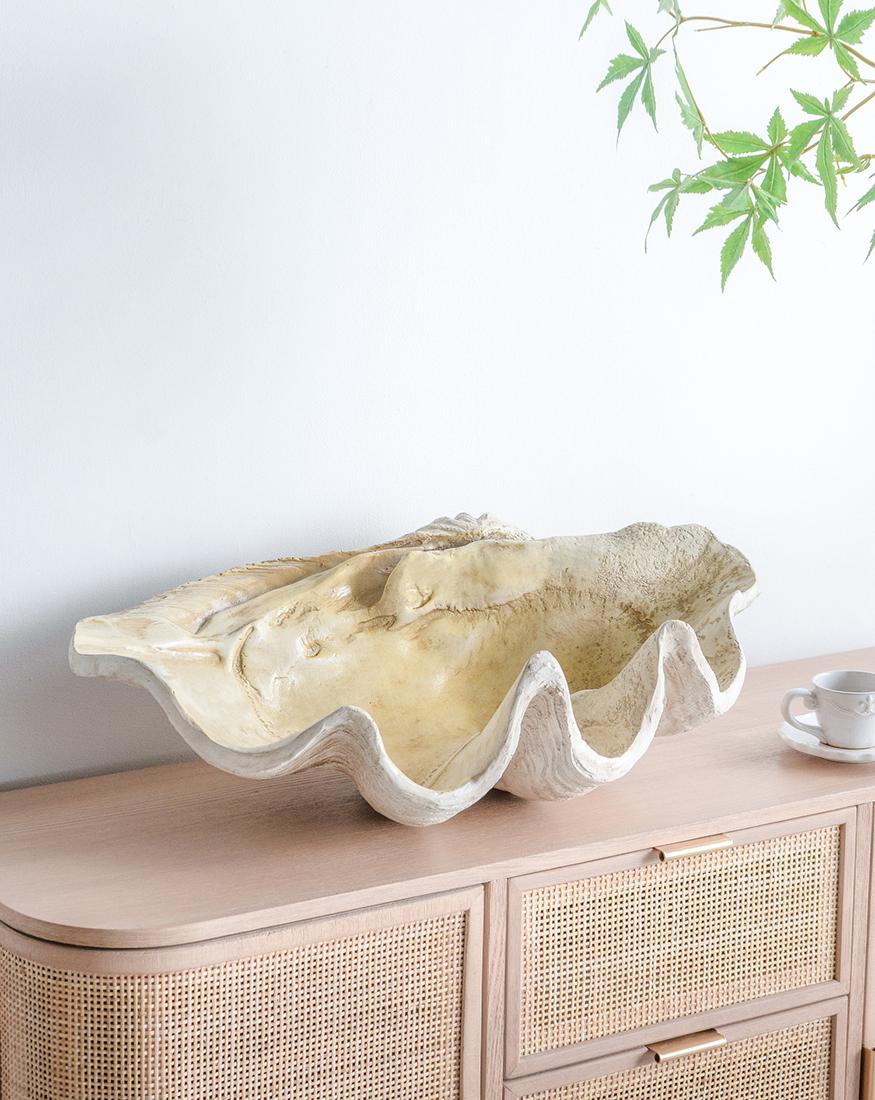 Giant Clam Sculpture Natural