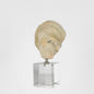 Oyster Polyresin Sculpture Small