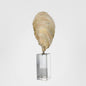 Oyster Polyresin Sculpture Large