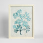 Blue Coral Study 1 Wall Art 45x60cm