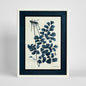 Botanical Blueprint B Wall Art 45x60cm
