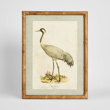 Heron Study B Wall Art 45x60cm