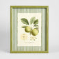 Apple Study 1 Wall Art 34x42cm