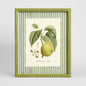 Apple Study 2 Wall Art 34x42cm