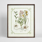 Vintage Flora 2 Wall Art 50x60cm