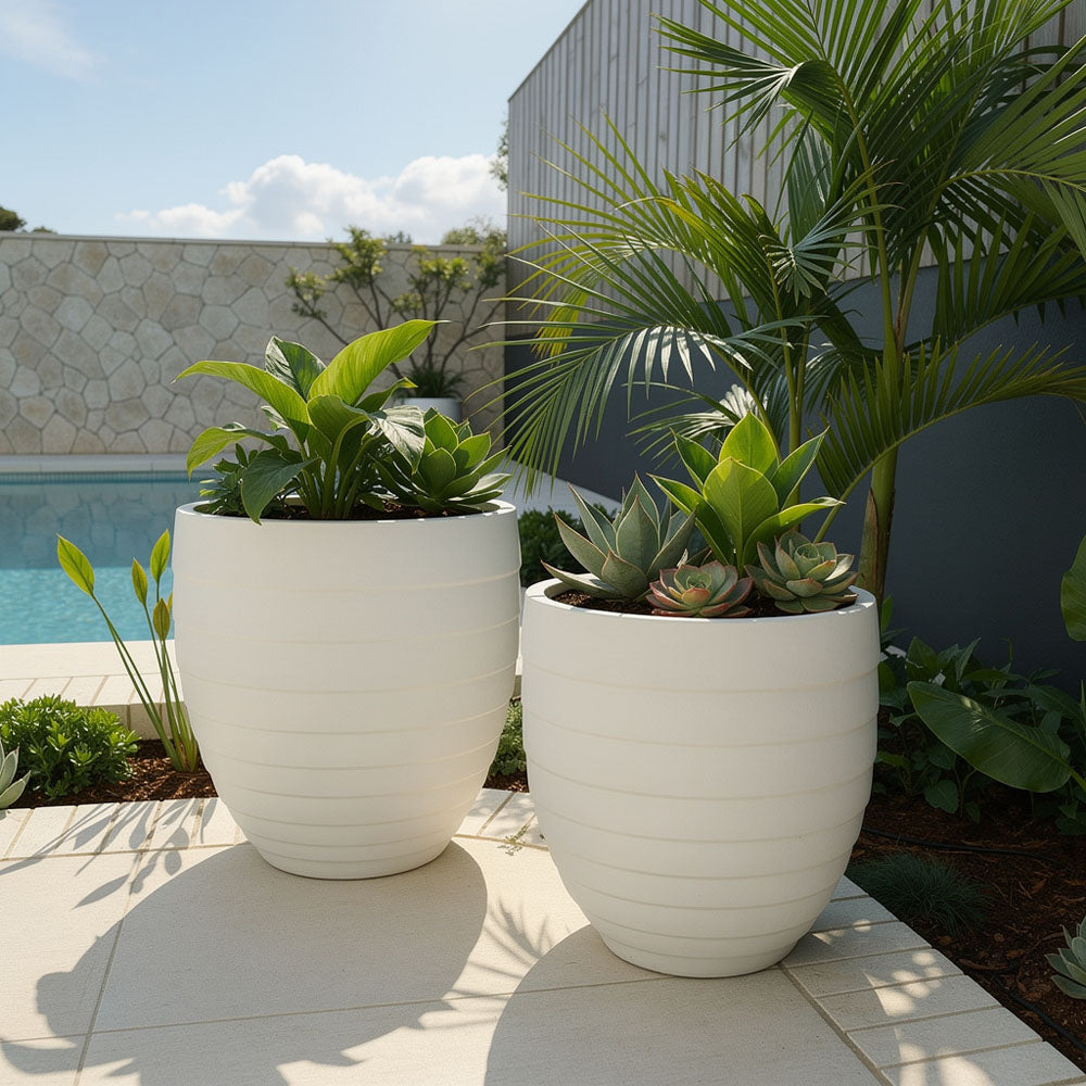 Jules Planter White