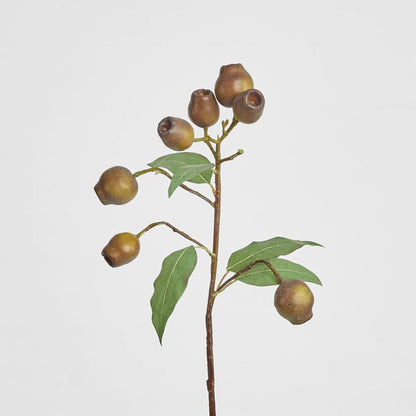 Eucalyptus Burgundy 67cm Green