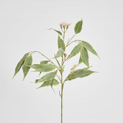Eucalyptus Flower Spray 92cm Pink & Green
