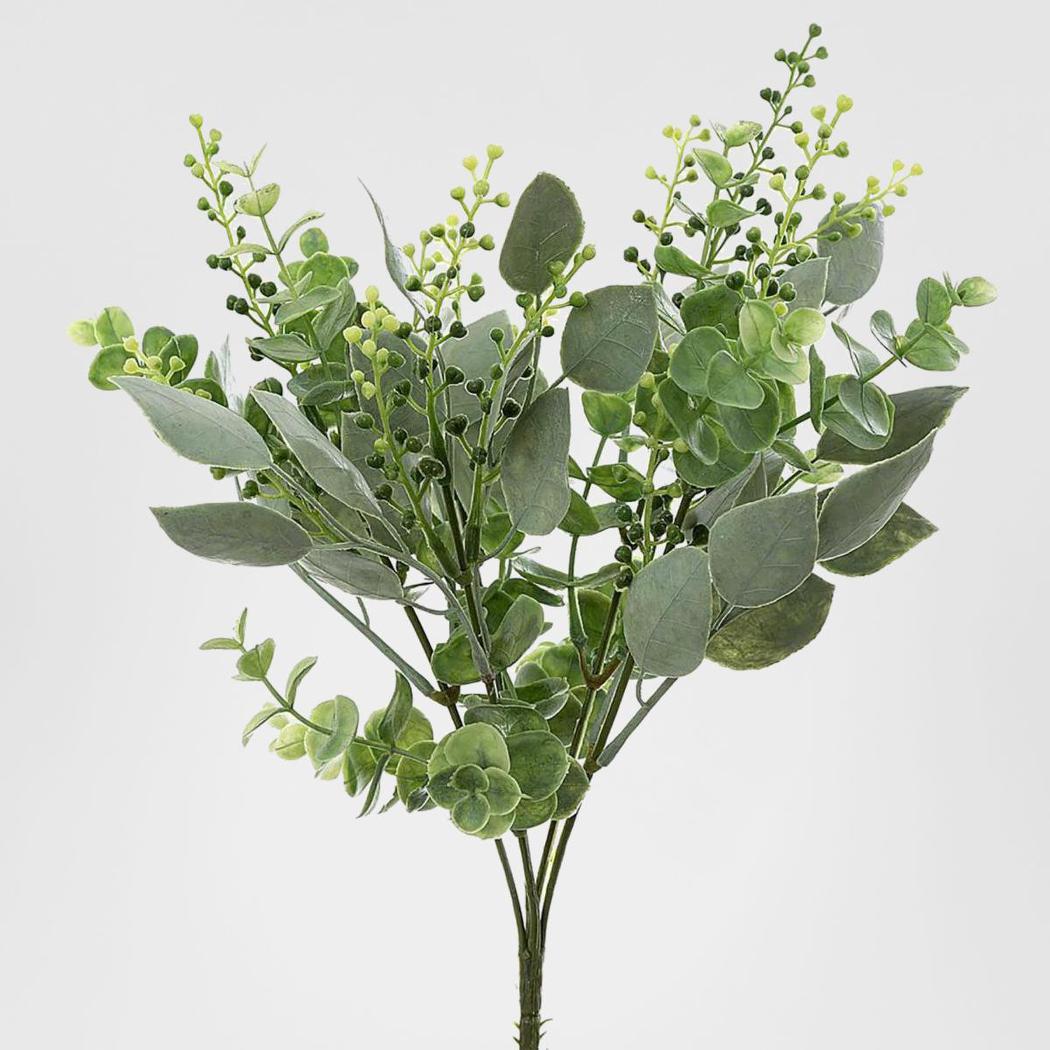 Eucalyptus Berry Bush 30cm