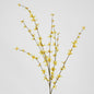 Forsythia Spray