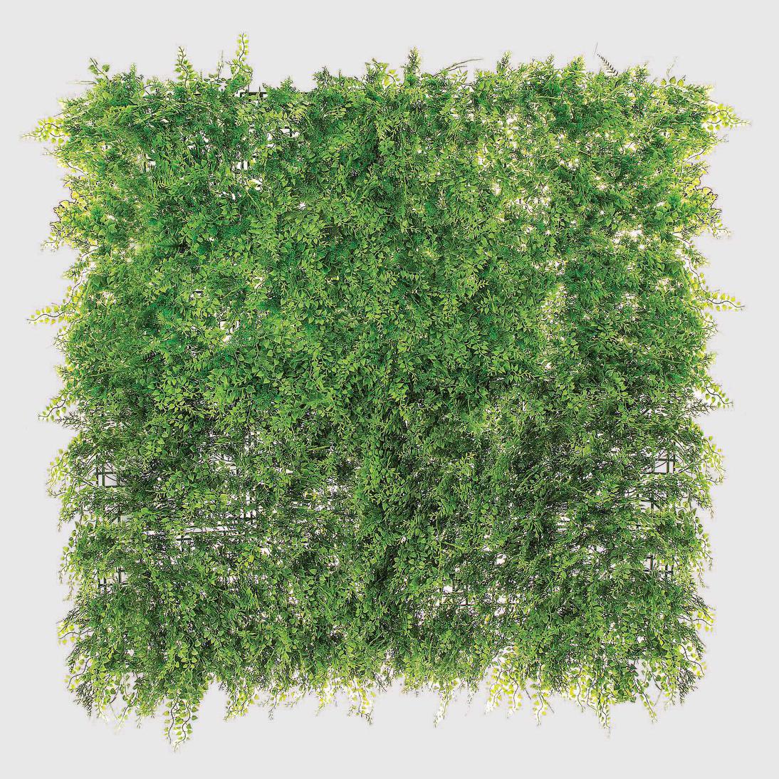 Fern Screen UV Coated 1x1m