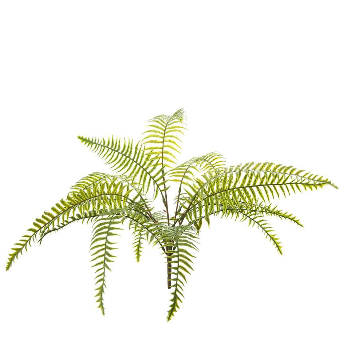 Fern Pick 50cm Green 12 pcs