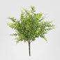 Fern Bush 45cm