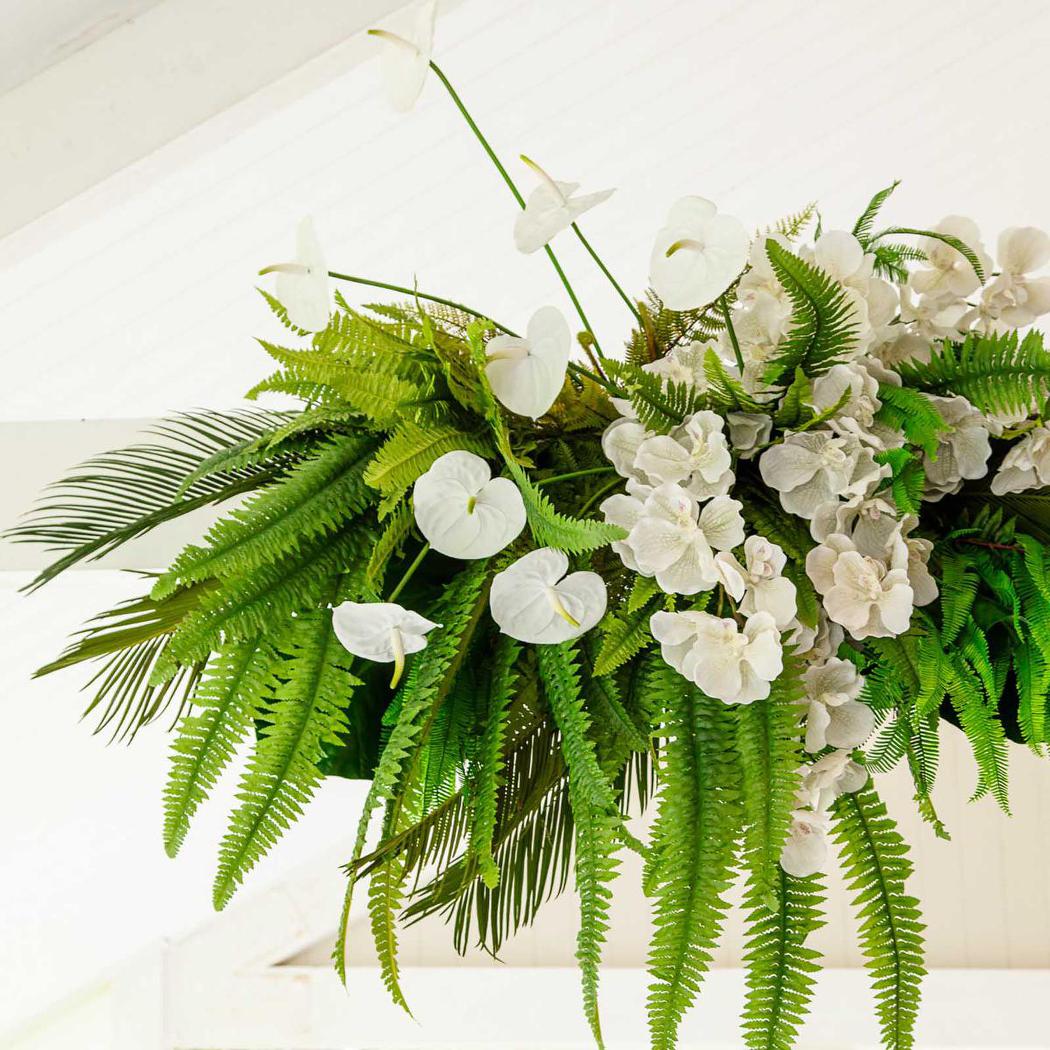 Fern Boston 1m