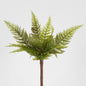 Small Native Fern Green 6 pcs