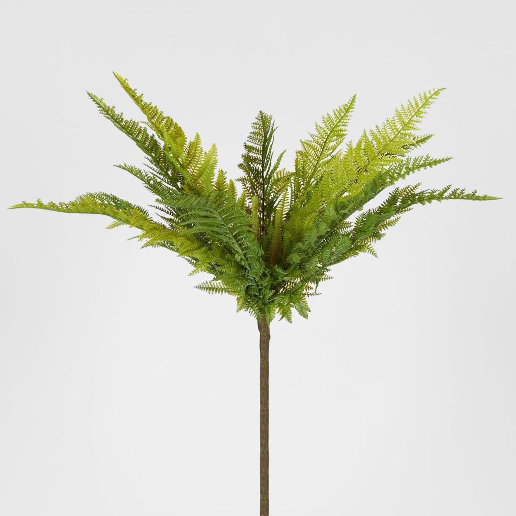 Native Fern Green 6 pcs