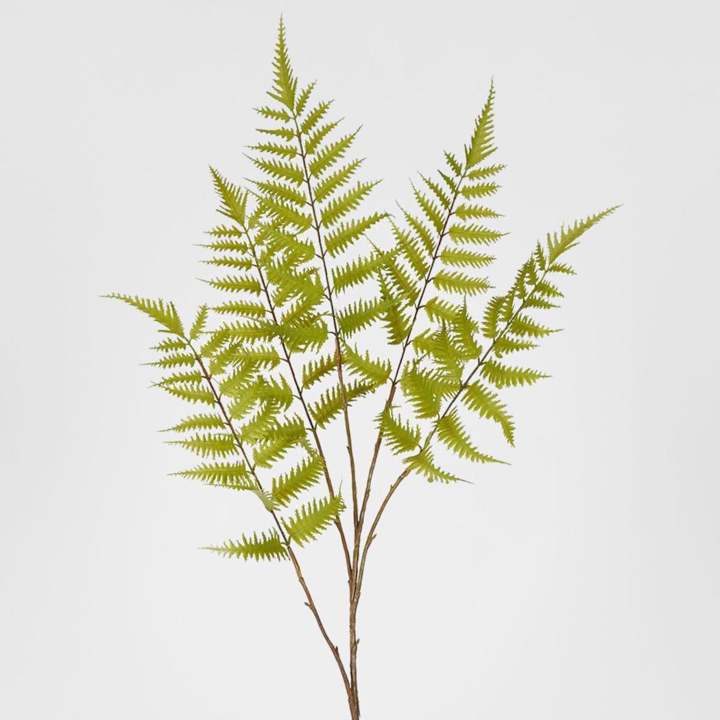 Greenspray Fern Stem 105cm 6 pcs