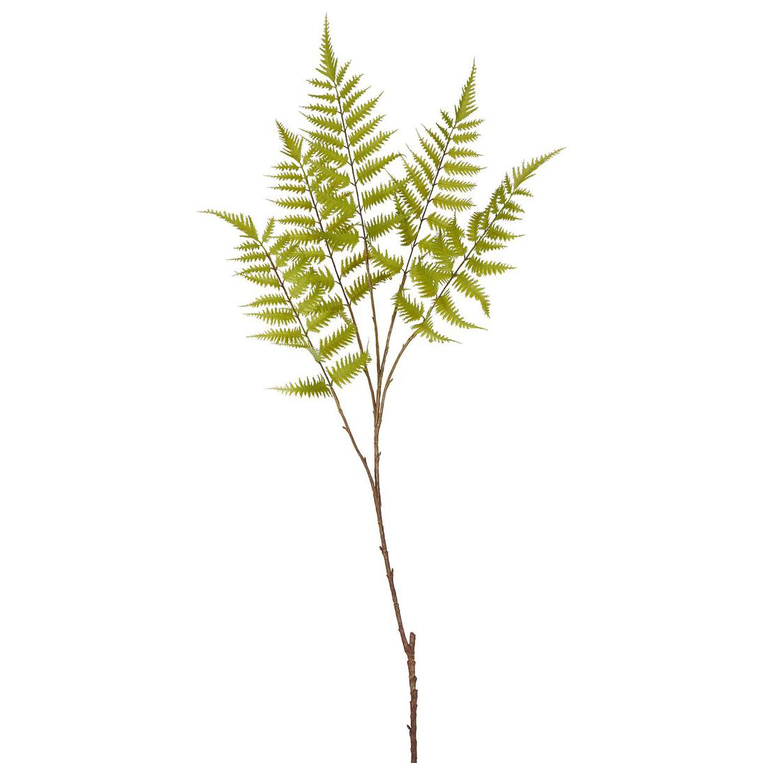 Greenspray Fern Stem 105cm 6 pcs