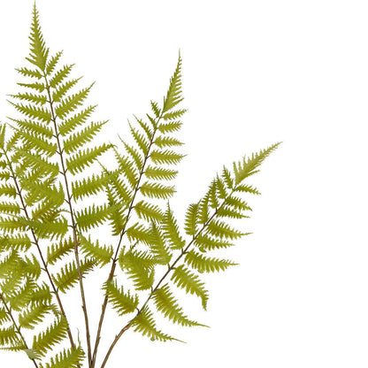 Greenspray Fern Stem 105cm 6 pcs