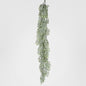 Pepper Fern Hanging Vine 115CM