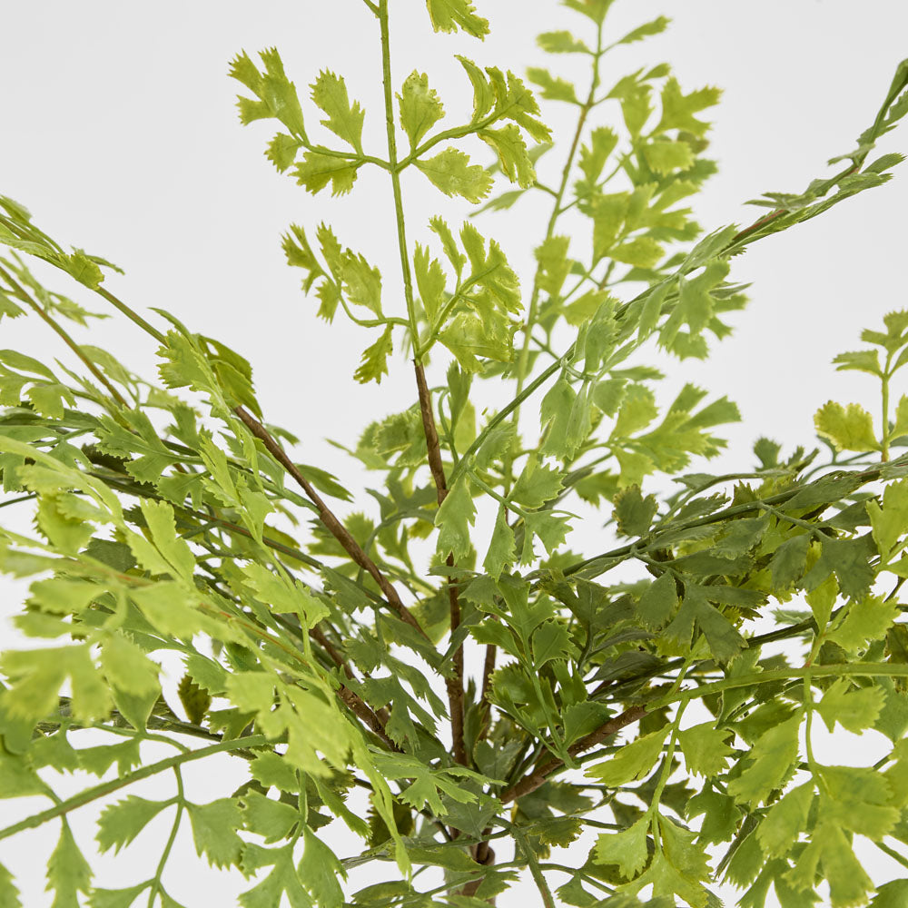 Real Touch Button Fern Bush