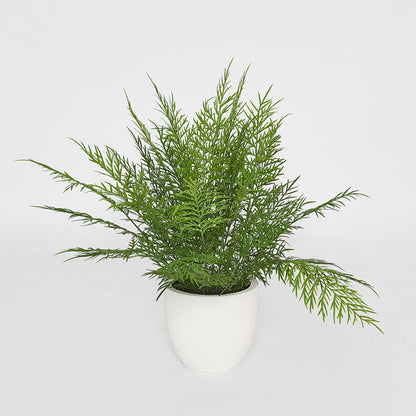 Fern in Magnesia Pot 71cm