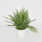 Fern in Magnesia Pot 71cm