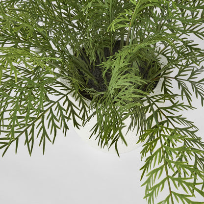 Fern in Magnesia Pot 71cm