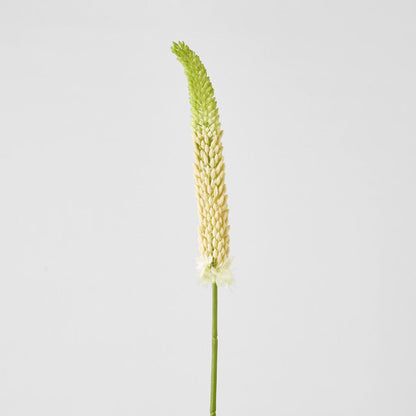 Fox Tail Stem 84cm Cream Green 6 pcs