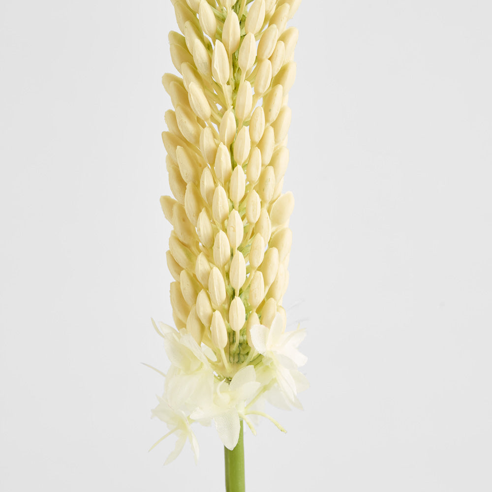 Fox Tail Stem 84cm Cream Green 6 pcs