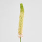 Fox Tail Stem 84cm Pink 6 pcs