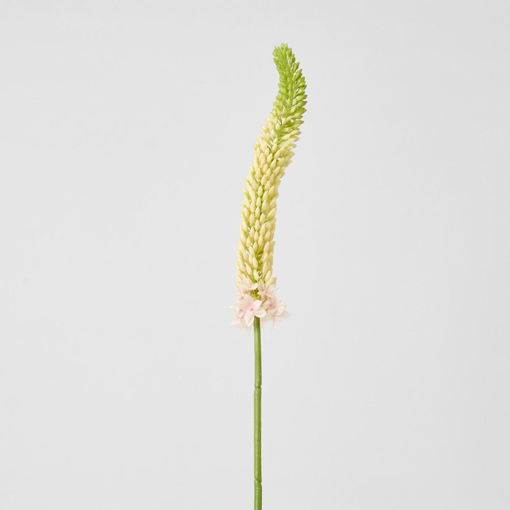 Fox Tail Stem 84cm Pink 6 pcs