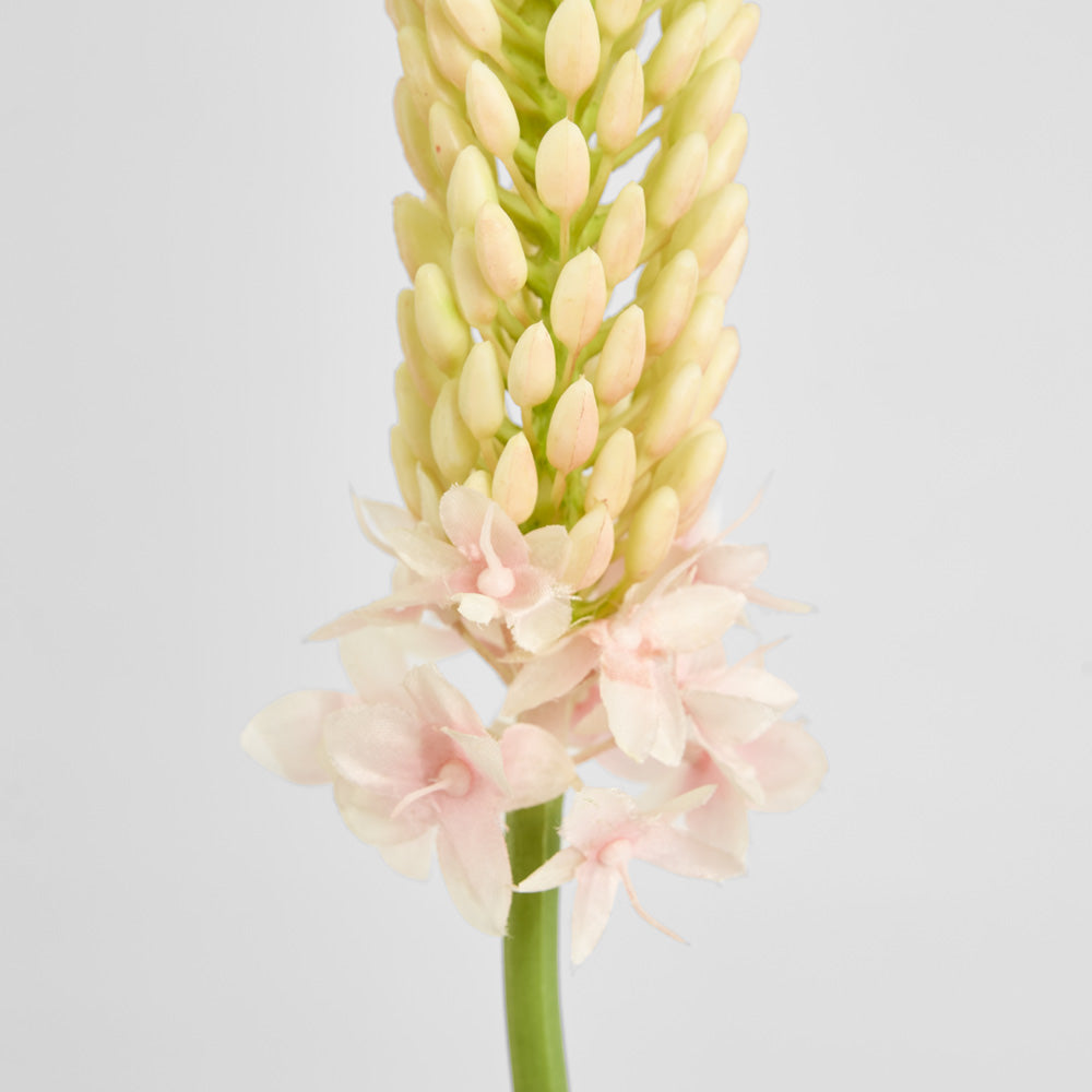 Fox Tail Stem 84cm Pink 6 pcs