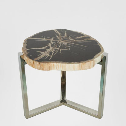 Niagra Petrified Wood Table