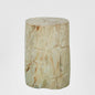 Binga Petrified Wood Stool 50cm