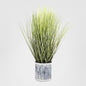 Grass in Pot 64cm