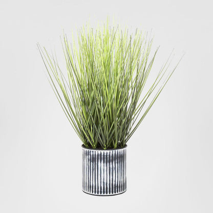 Grass in Pot 48cm