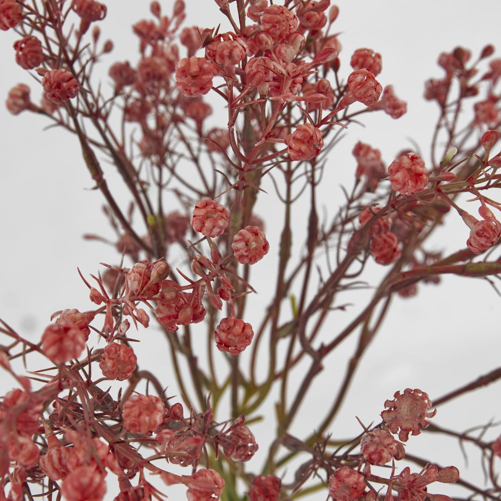 Baby's Breath Bundle Pink 6 pcs