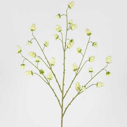 Hop Flower Spray 112cm White